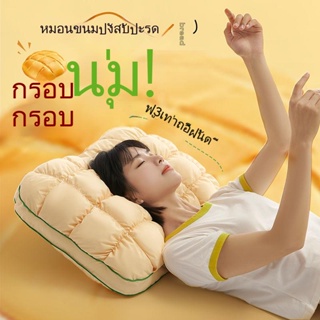 [Ten Beans] หมอนรองกระดูกสันหลังส่วนคอ แบบนิ่ม ไม่ยุบ สําหรับหอพัก