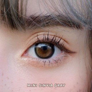 ไม่แถมตลับ Sinvia Gray (มินิ) คอนแทคเลนส์ Kitty Kawaii