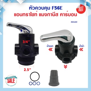 เครื่องใช้ไฟฟ้าขนาดเล็ก หัววาล์ว Manual Valve หัวควบคุมถังกรอง