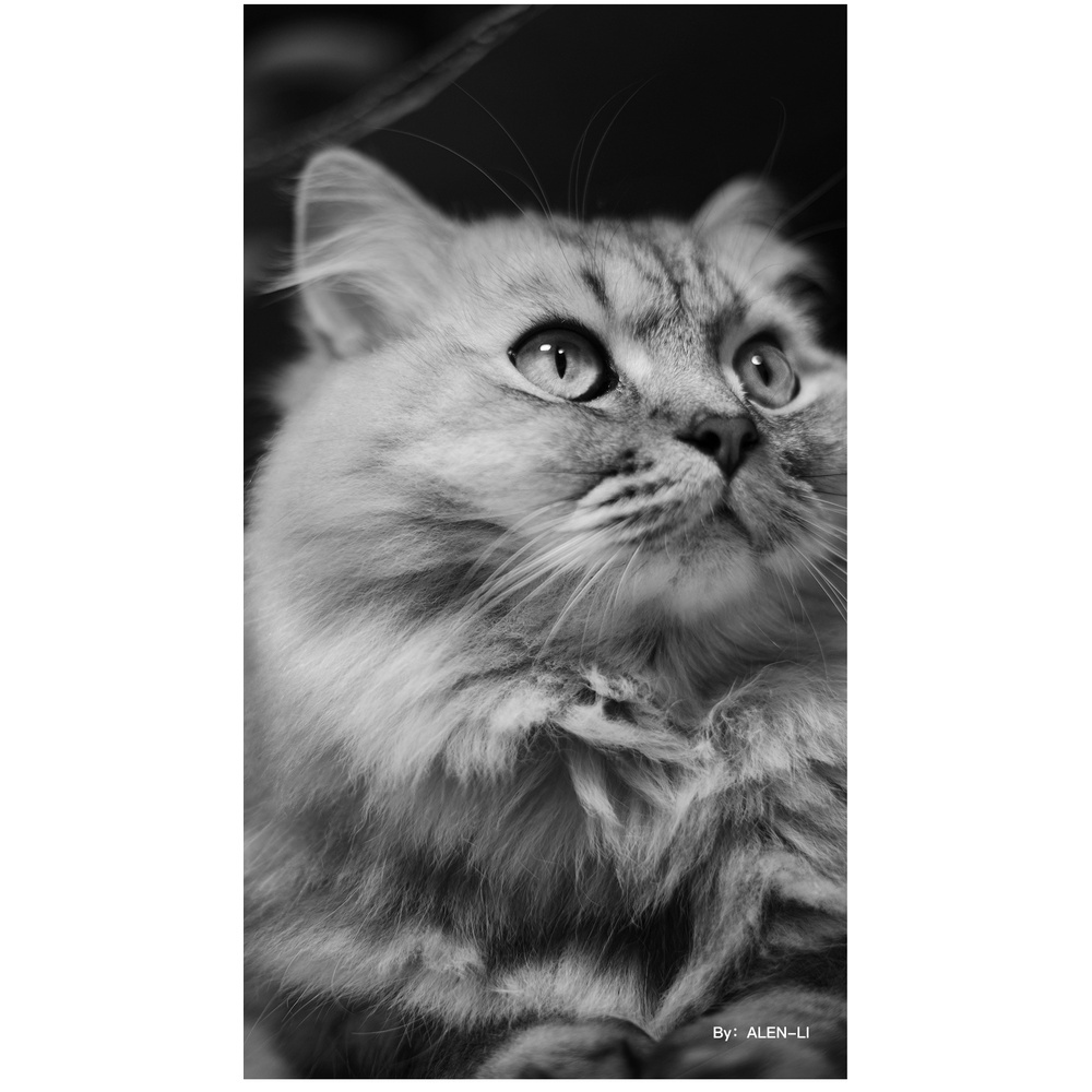 รูปภาพ 9