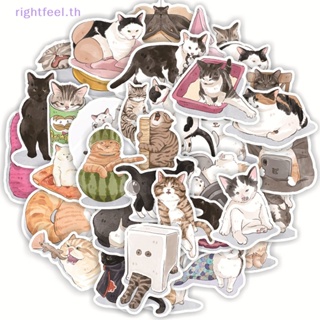 Rightfeel.th สติกเกอร์ ลายการ์ตูนแมวน่ารัก กันน้ํา สําหรับติดตกแต่งแล็ปท็อป 50 ชิ้น ต่อชุด