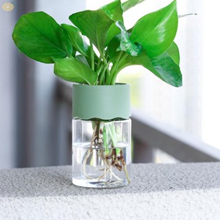 【VARSTR】Hydroponic Pot Plant Pots Plastic Stylish Container Succulent Vegetable