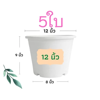กระถางต้นไม้พลาสติก กระถางต้นไม้ กระถาง สีดำ สีขาว 12 นิ้ว 5ใบ ราคาส่ง