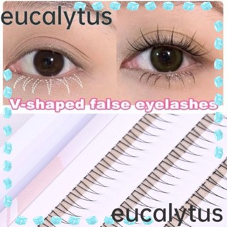 Eucalytus1 ขนตาปลอม แฮนด์เมด รูปตัว V ยาว สวยงาม สําหรับผู้หญิง