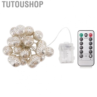 Tutoushop Festival String Lights 2m String 20 Bulbs Warm White 8 Modes Metal Globe