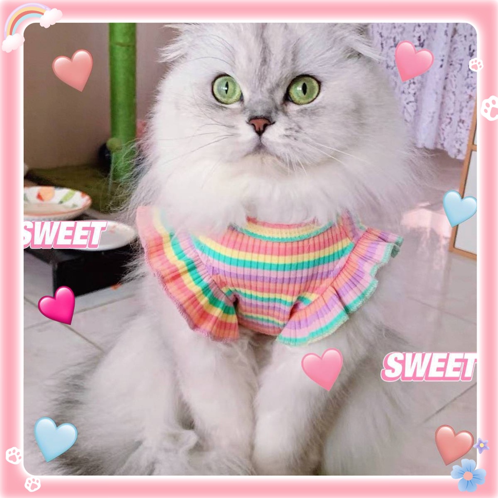 เสื้อผ้าแมว ลายทางสีรุ้ง น่ารัก สําหรับฤดูร้อน