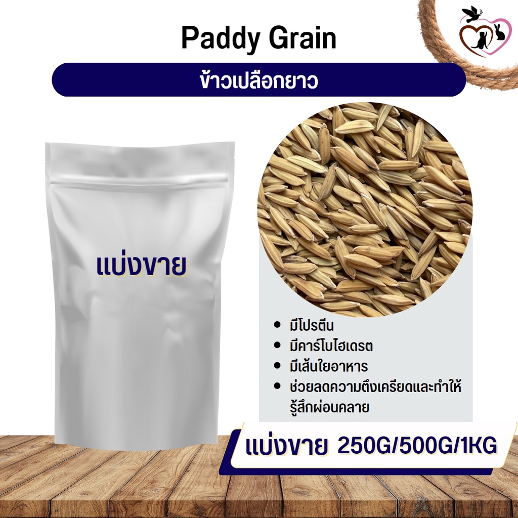 ข้าวเปลือกยาว Paddy rice อาหารนก กระต่าย หนู กระต่าย กระรอก ชูก้า และสัตว์ฟันแทะ (แบ่งขาย 250G / 500G / 1KG)