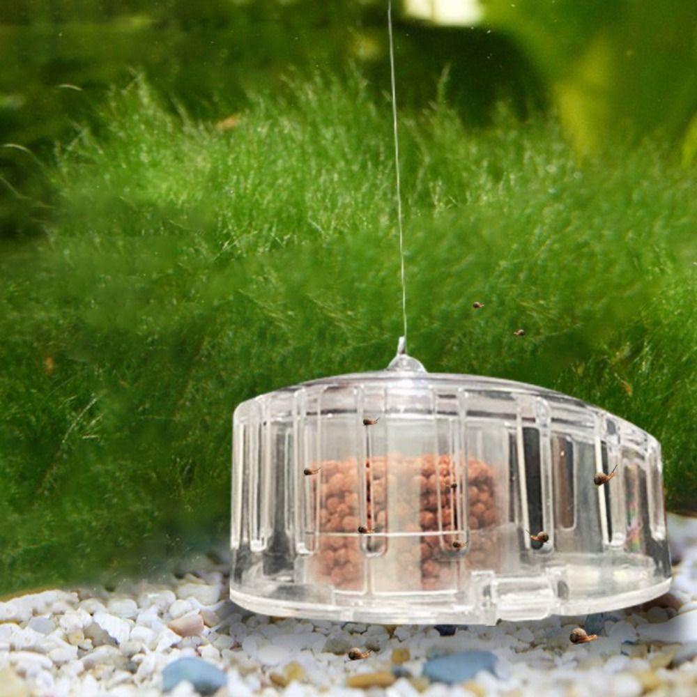 Fallforbeauty กับดักหอยทาก Catcher แบบพกพาโปร่งใสทนทานกับเหยื่ออาหาร Aquarium อุปกรณ์เสริม Planaria Pest Catch กล่อง - รูปที่ 4