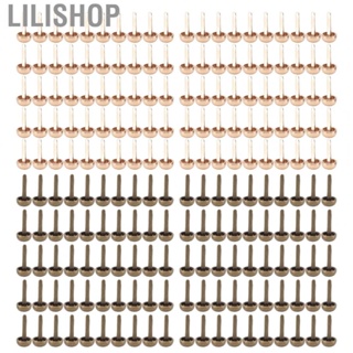 Lilishop Brass Fasteners  8mm Mini Brads Strong Luster  for DIY Photo Albums for Box