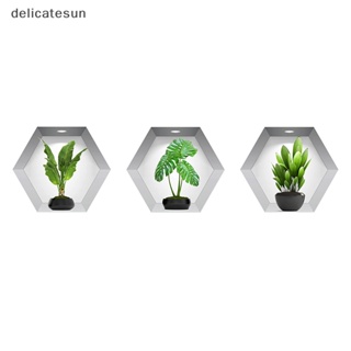 Delicatesun สติกเกอร์วอลเปเปอร์ ลายกระถางต้นไม้ 3D สําหรับติดตกแต่งผนังบ้าน ห้องนั่งเล่น 3 ชิ้น ต่อชุด