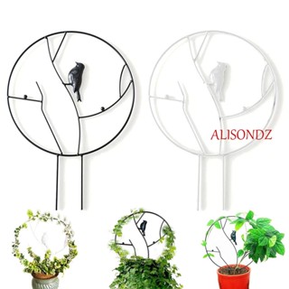 ALISONDZ ก้านเถาวัลย์ โลหะ กันสนิม ทนทาน ขนาด 30 ซม. สําหรับปลูกต้นไม้