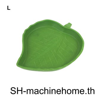 ชามให้อาหารสัตว์เลี้ยง พลาสติก ABS ทําความสะอาดง่าย สําหรับสัตว์เลื้อยคลาน