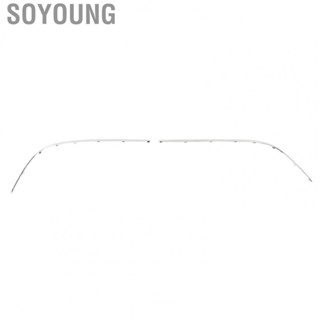 Soyoung Front Bumper Molding Trim Durable for S430 S500 S55 AMG S600