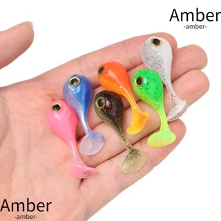 Amber เหยื่อตกปลาซิลิโคน 3D สองสี 6 ชิ้น  ​ หาง T หลากสีสัน