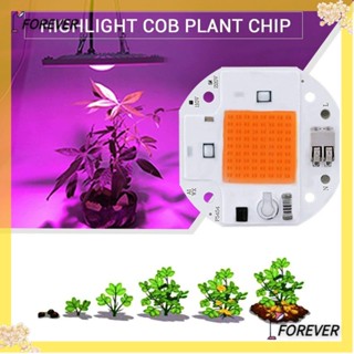 Forever ชิปหลอดไฟ LED COB 220V 110V พลังงานสูง 50W 70W 100W สําหรับปลูกพืช