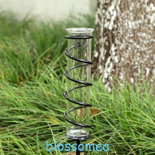Blossomea เกจวัดฝนกระจก พร้อมเกจวัดฝน 17 สเกลใส ถอดออกได้ พร้อมเกลียวโลหะ สําหรับสวนกลางแจ้ง