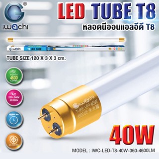 อุปกรณ์ไฟ [IWACHI] หลอดนีออน (ขั้วสีเขียว) (ขั้วสีทอง) T8 แสง 2500LM/3000LM/4600LM กำลังไฟ 22W 30W 40W หลอดไฟนีออน LED