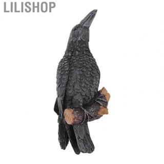 Lilishop Crow Ornament Wall Mountable Resin Garden Crow Sculpture Decoration for Courtyard Eaves High Wall Black