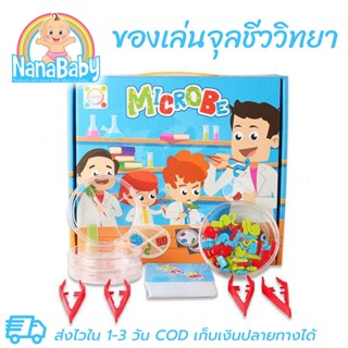 ของเล่นวิทยาศาสตร์ ของเล่นจุลชีววิทยา Microbe