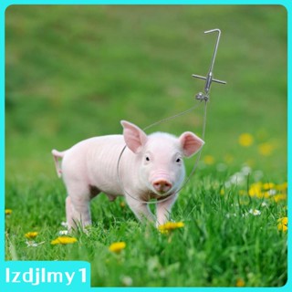 [Lzdjlmy1] อุปกรณ์จับหมู ทนทาน สําหรับสัตว์เลี้ยง สุนัข