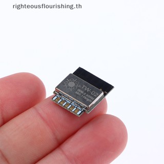 Righteousflourishs.th ใหม่ โมดูล WiFi TW-02 เข้ากันได้กับ ESP8266 TYWE2S รองรับ Serial W600 RTT