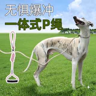 เชือกจูงสัตว์เลี้ยง ป้องกันการระเบิด สีมาการอง สําหรับสุนัข ลูกสุนัข