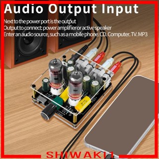 [Shiwaki1] บอร์ดขยายเสียงสเตอริโอดิจิทัล DC12V-16V 3D