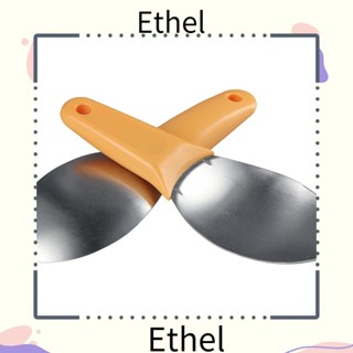 Ethel1 เครื่องตัดมะม่วง และลูกบาศก์เกอร์ ถอดออกง่าย สําหรับห้องครัว