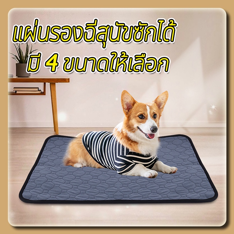 Pet Pee Pad ผ้ารองฉี่สุนัข แผ่นรองฉี่หมา แผ่นรองฉี่สุนัข 4ชั้น แบบซักได้ สามารถใช้ซ้ำได้ ดูดซับน้ำได้ดี