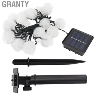 Granty Solar String Light Dandelion String  Light Colorful For Outdoor Garden