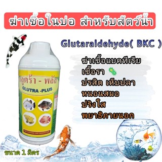 ยาปลา กำจัดปรสิต Glutaraldehyde (BKC) ยาฆ่าเชื้อรา,แบคทรีเรีย,ไวรัส กักโรคปลาคาร์ฟและสัตว์น้ำ บรรจุ 1,000 ml.