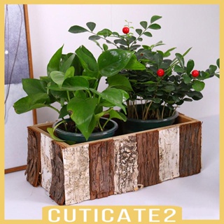 [Cuticate2] กล่องไม้ ทรงสี่เหลี่ยมผืนผ้า สไตล์วินเทจ สําหรับปลูกต้นไม้