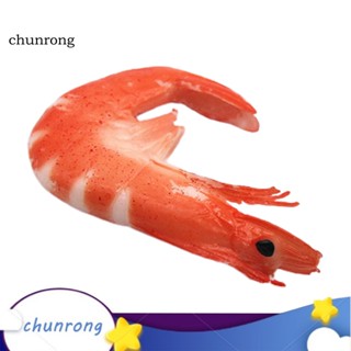 Chunrong โมเดลกุ้งจําลอง สีสันสดใส สําหรับตกแต่งบ้านตุ๊กตา