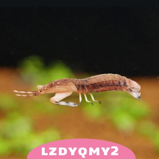 [Lzdyqmy2] ของเล่นโมเดลสัตว์ทะเล สมจริง สําหรับเก็บสะสม ของขวัญวันเกิด