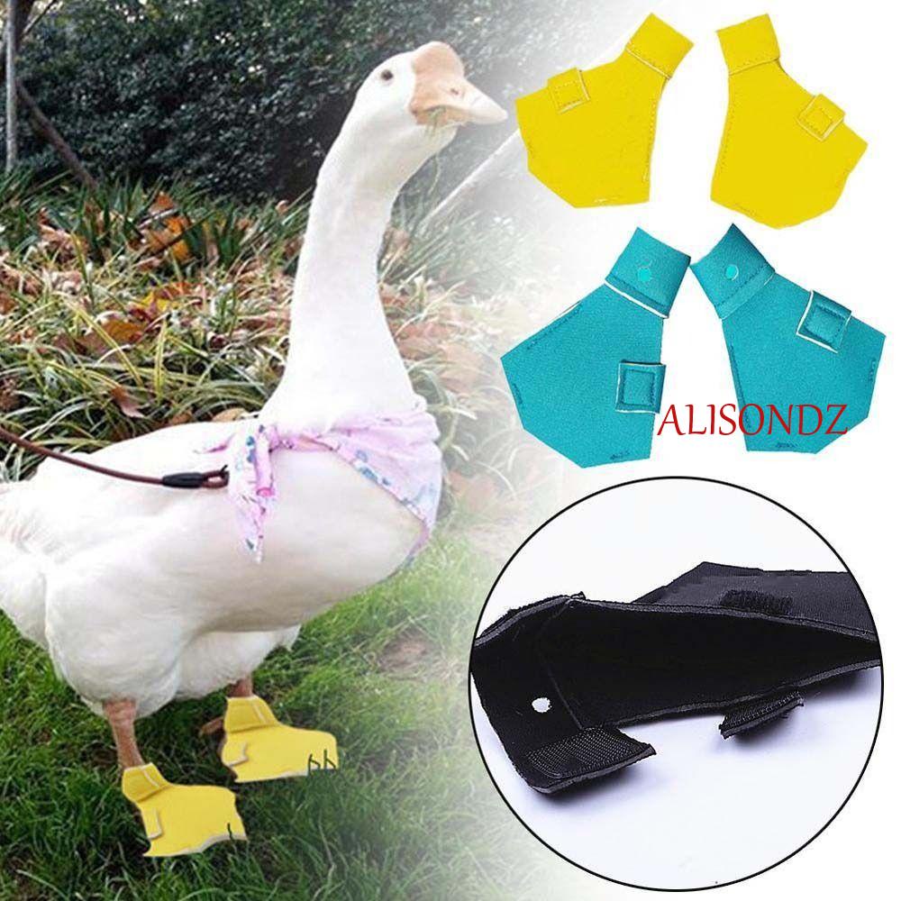 Ndze8 รองเท้าเป็ดสัตว์เลี้ยง 2 ชิ้น/เซ็ตเดินรองเท้าน้ําหนักเบากลางแจ้ง Anti-Slip เป็ด Protectors
