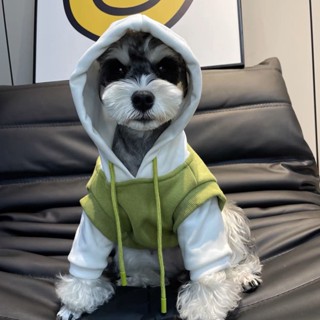 Schnauzer เสื้อกันหนาว ผ้าฝ้าย แบบหนา สําหรับสัตว์เลี้ยง สุนัข แมว