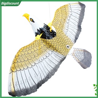 {BIG} โมเดลนกอินทรีย์บิน อิเล็กทรอนิกส์ พร้อมเสียง LED ของเล่นสําหรับเด็ก