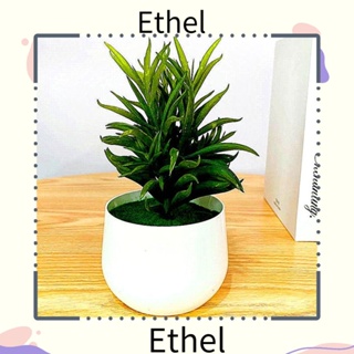 Ethel1 ต้นบอนไซประดิษฐ์ สําหรับตกแต่งสํานักงาน โรงแรม