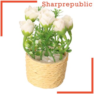 [Sharprepublic] โมเดลกระถางต้นไม้ ดอกไม้ 1/6 สําหรับตกแต่งบ้านตุ๊กตา