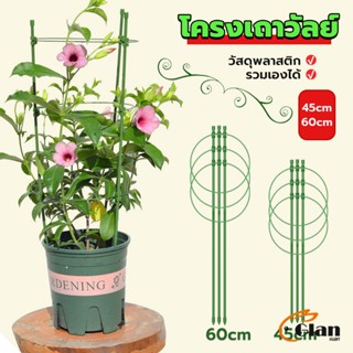 Glanxuan โครงเถาวัลย์ เสามะเขือเทศ โครงปลูก อุปกรณ์สำหรับพืชไม้เลื้อย 45cm 60cm plant trellis