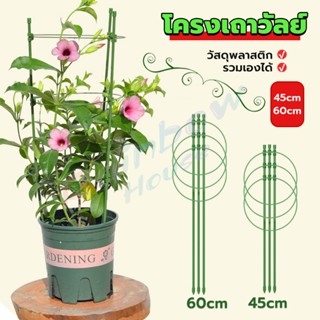 R.H. โครงเถาวัลย์ เสามะเขือเทศ โครงปลูก อุปกรณ์สำหรับพืชไม้เลื้อย 45cm 60cm plant trellis