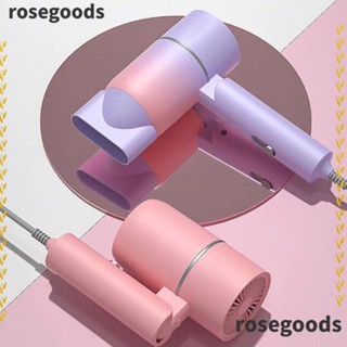 Rosegoods1 เครื่องเป่าผมไฟฟ้า 1200W แบบพับได้ สําหรับร้านทําผม