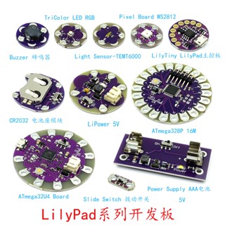 Lilypad Series บอร์ดทดลอง 328P 32U4 WS2812 Buzzer TEMT6000 CR2032