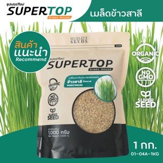 เมล็ดเพาะต้นอ่อน ข้าวสาลี (Wheatgrass Microgreen) SUPERTOP ขนาด 1 KG.