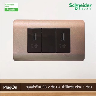 Schneider ชุดเต้ารับUSB 2ตัว+ฝาอุดช่องว่าง พร้อมฝาครอบ 3ช่อง สีน้ำตาล|Zencelo|8431USB_BZ+8430SP_BZ+8431USB_BZ+A8401LH_SZ