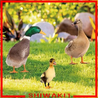 [Shiwaki1] ป้ายรูปปั้นเป็ด 3 ชิ้น สําหรับตกแต่งสวนหลังบ้าน