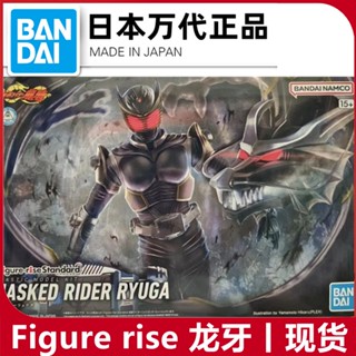 พร้อมส่ง โมเดลฟิกเกอร์ Bandai PB Limited Figure rise FRS Kamen Rider Dragon Tooth Dragon Rider ของเล่นสําหรับเด็ก