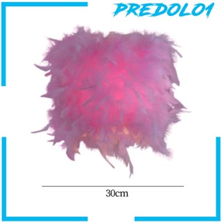 [Predolo1] โคมไฟขนนก สไตล์มินิมอล สําหรับตกแต่งบ้าน ห้องนั่งเล่น ปาร์ตี้