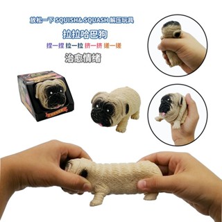 ของเล่นสุนัข Douyin Wandi Wanxi Xiaowen Lala Pug สําหรับเด็ก QDWR