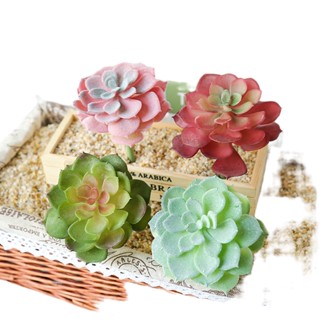 Succulents ดอกไม้ พืชอวบน้ํา สร้างสรรค์ DIY อุปกรณ์ตกแต่งผนัง